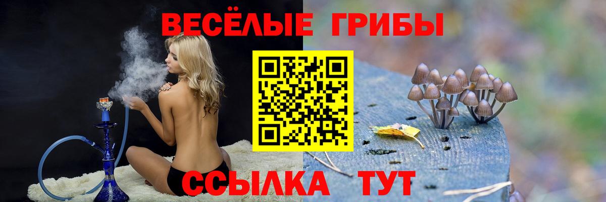 Псилоцибиновые грибы прущие грибы  Галлюциногенные грибы GOLDEN TEACHER  Коммунар  Вход с VPN 