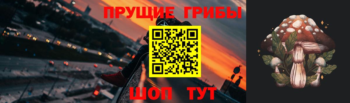 Галлюциногенные грибы Psilocybe Коммунар